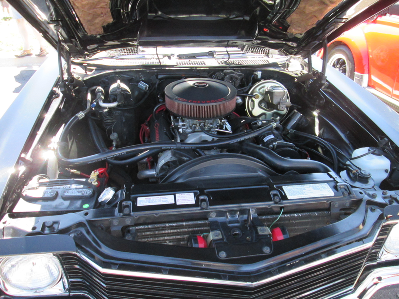 Illustration for article titled Cars and Coffee Parker, CO 7/11/15 Part 4